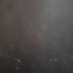 Meet your Posher, Dorethea